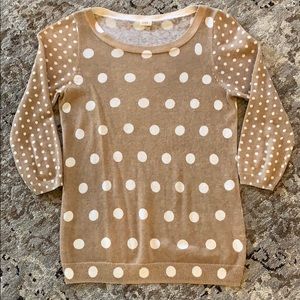 Tan and Cream Polka Dot Sweater Shirt